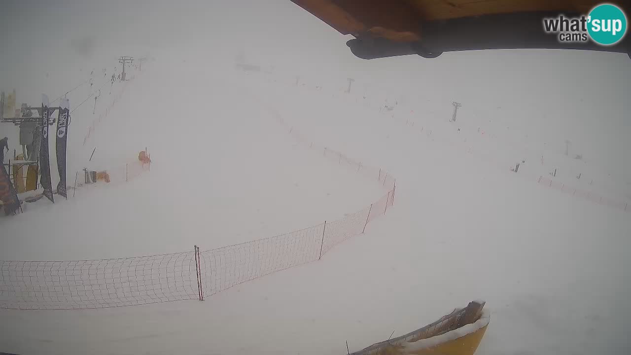 Livigno LIVE cam smučišče | pogled na smučarske proge