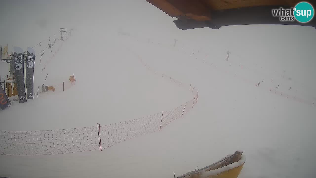 Livigno webcam – view on Livigno Ski School area – LivignoGO