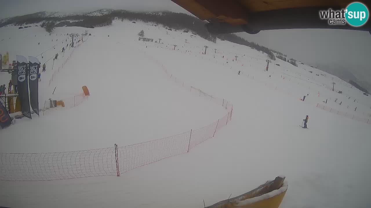 Livigno SKI webcam | Piste da SCI