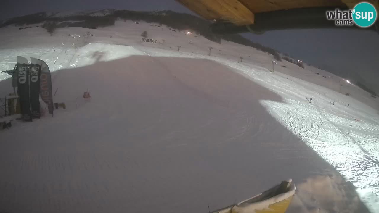 Livigno SKI webcam | Piste da SCI