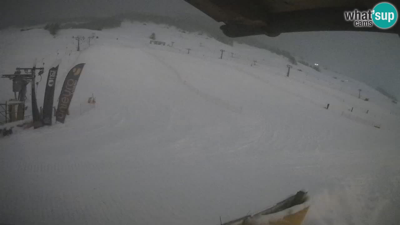 Livigno SKI webcam | Piste da SCI