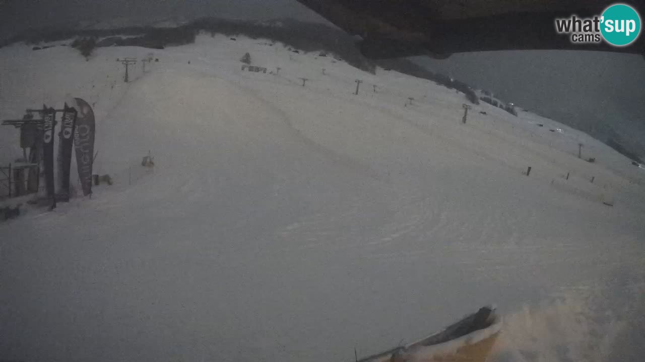 Livigno SKI webcam | Piste da SCI