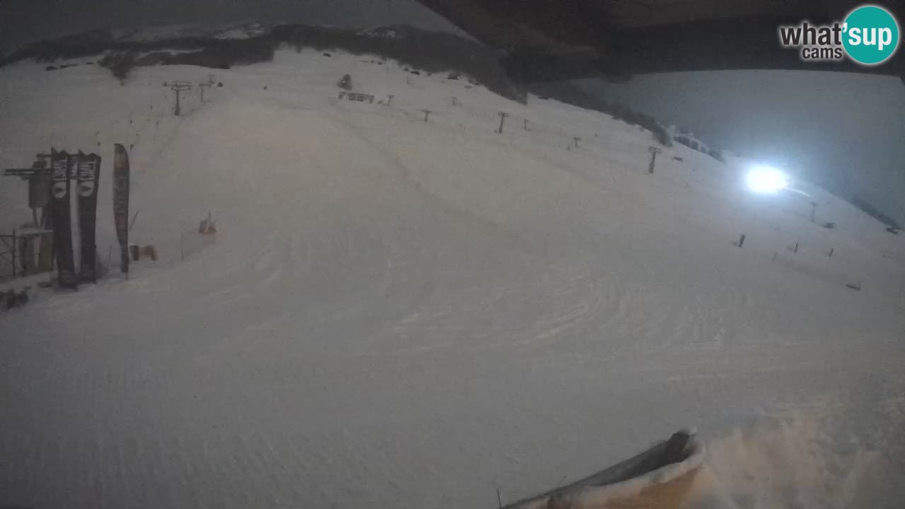 Livigno SKI webcam | Piste da SCI