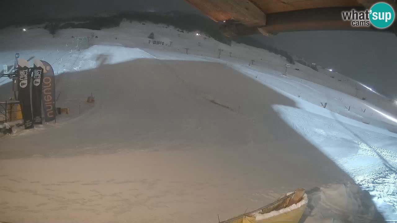 Livigno SKI webcam | Piste da SCI