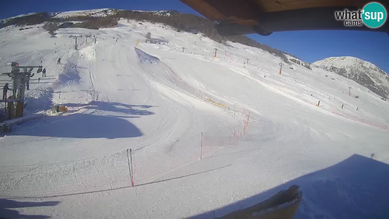 Livigno SKI webcam | Piste da SCI