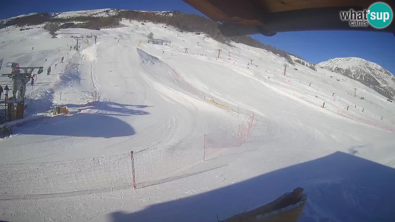 Livigno SKI webcam | Piste da SCI