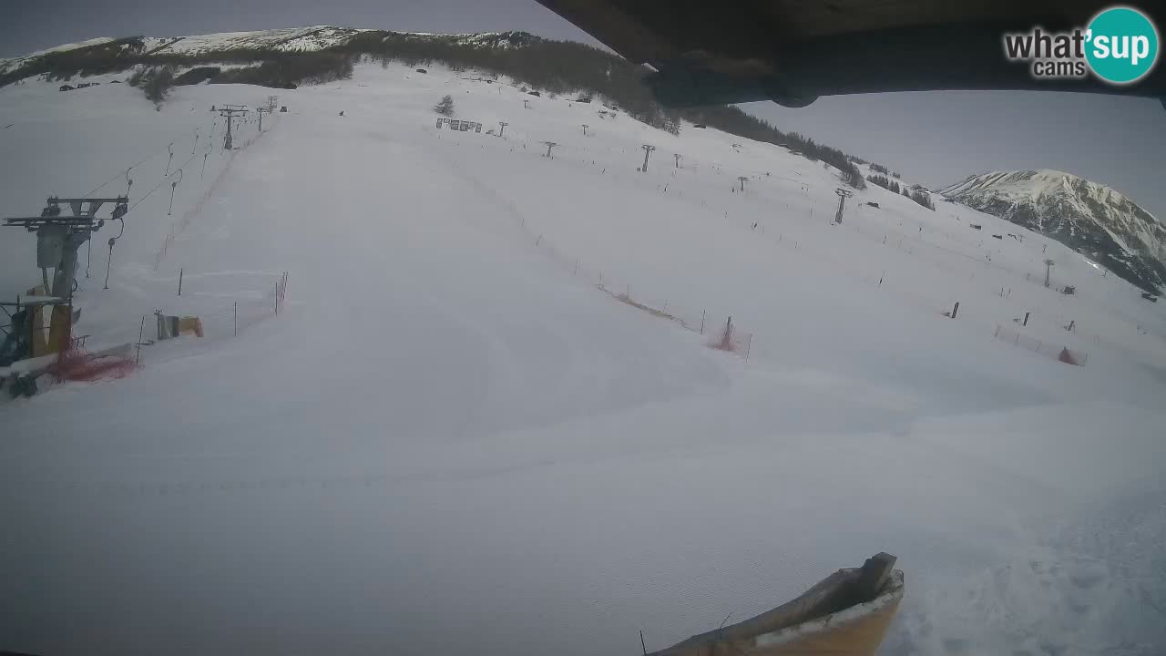 Livigno webcam – view on Livigno Ski School area – LivignoGO