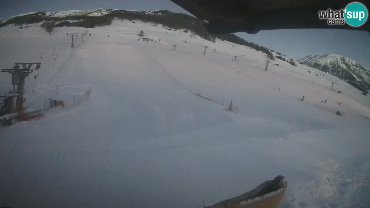 Livigno SKI webcam | Piste da SCI