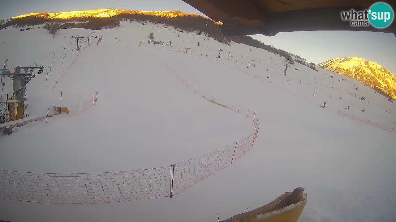 Livigno SKI webcam | Piste da SCI