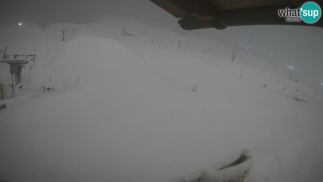 Livigno SKI webcam | Piste da SCI