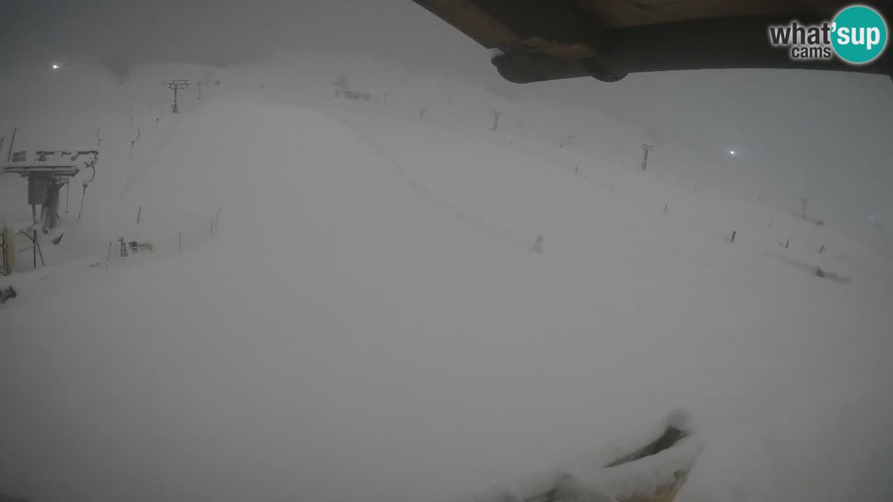 Livigno webcam – view on Livigno Ski School area – LivignoGO