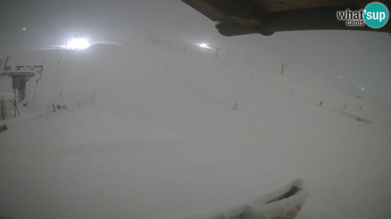 Livigno SKI webcam | Piste da SCI