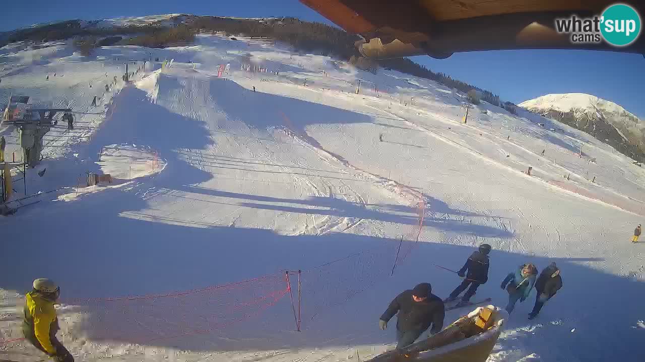 Livigno SKI webcam | Piste da SCI