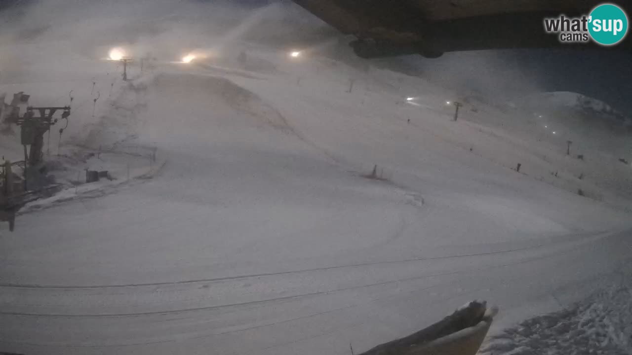 Livigno webcam – view on Livigno Ski School area – LivignoGO