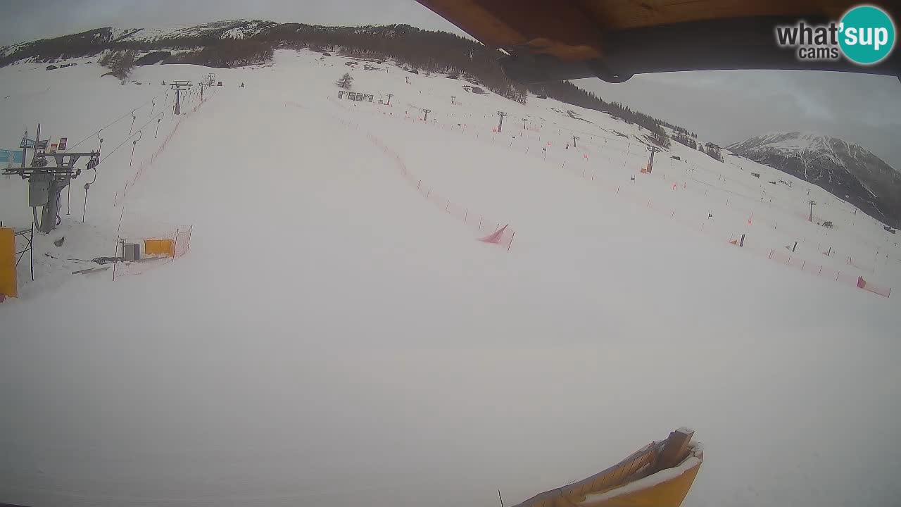 Livigno LIVE cam smučišče | pogled na smučarske proge