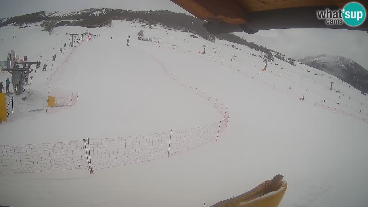 Livigno SKI webcam | Piste da SCI