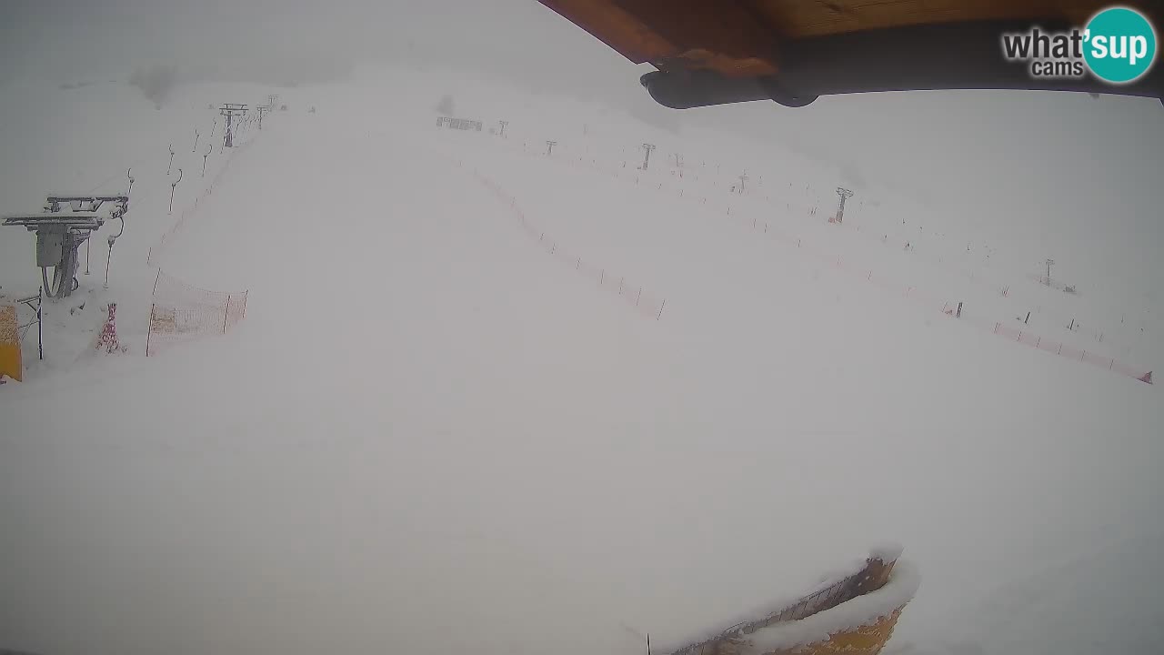 Livigno SKI webcam | Piste da SCI