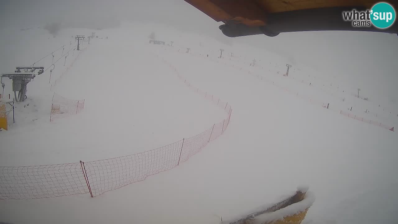 Livigno webcam – view on Livigno Ski School area – LivignoGO