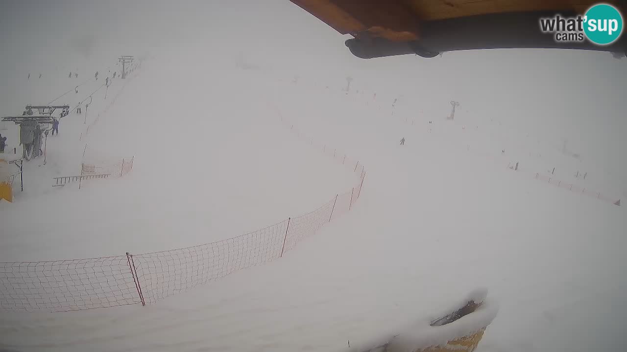 Livigno SKI webcam | Piste da SCI