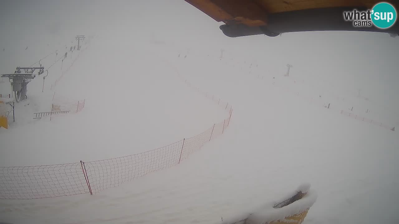 Livigno LIVE cam smučišče | pogled na smučarske proge