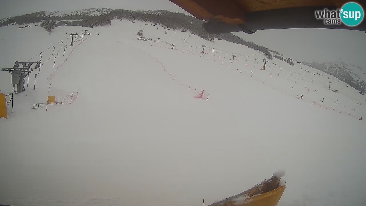 Livigno SKI webcam | Piste da SCI