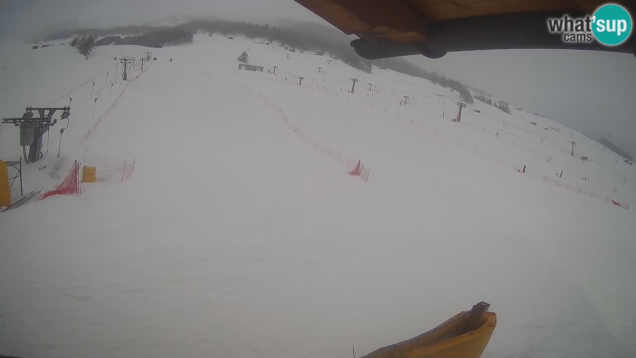 Livigno LIVE cam smučišče | pogled na smučarske proge