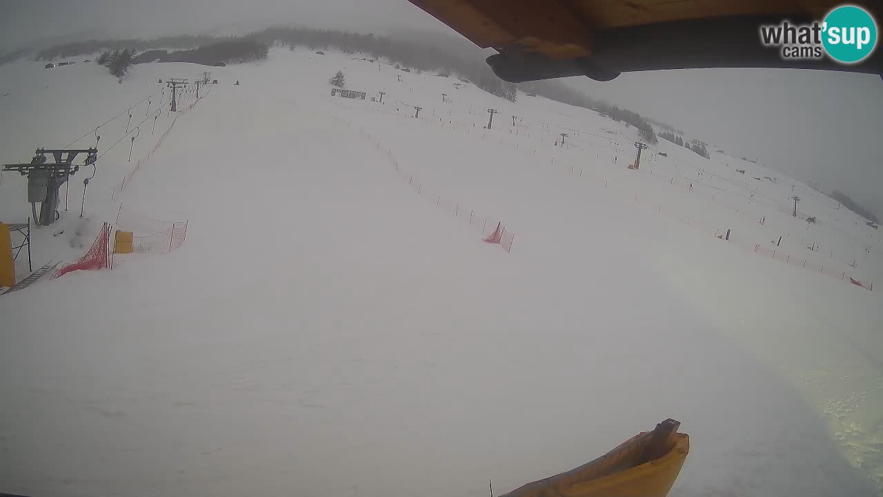 Livigno webcam – view on Livigno Ski School area – LivignoGO