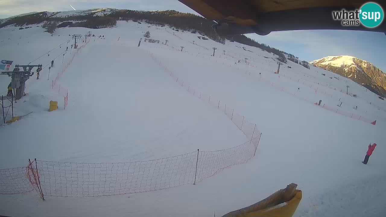 Livigno SKI webcam | Piste da SCI