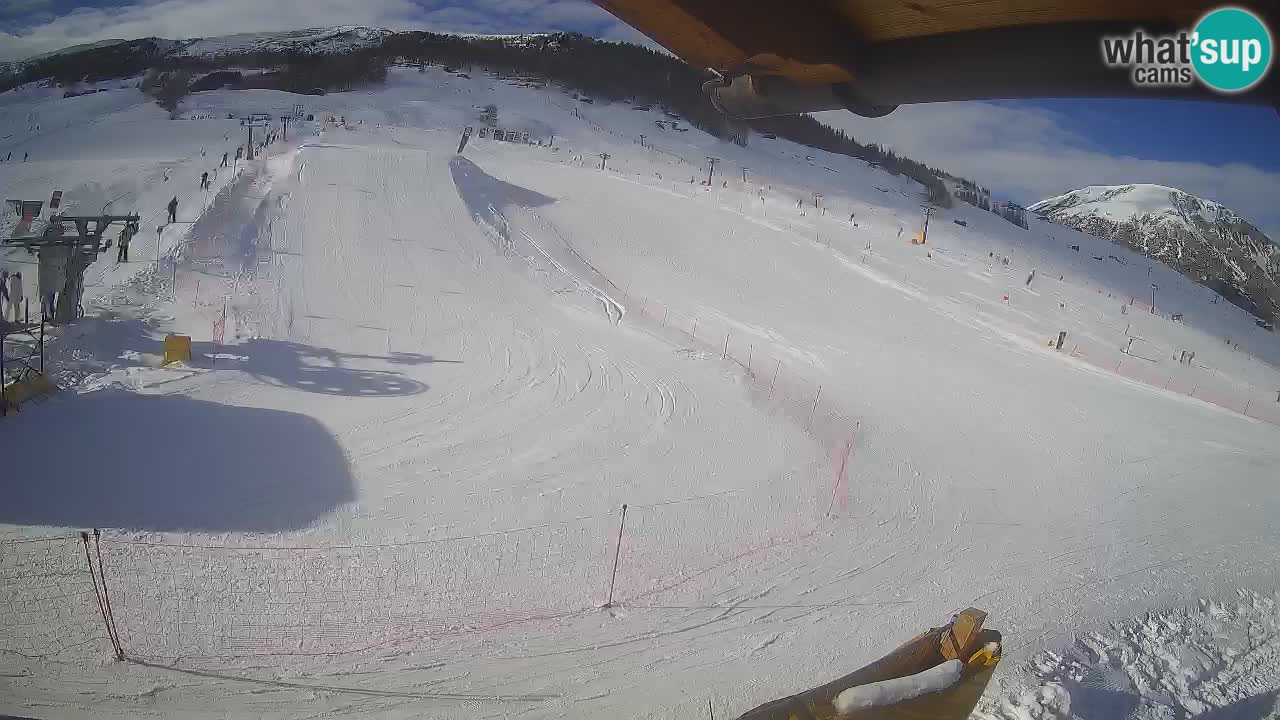 Livigno SKI webcam | Piste da SCI