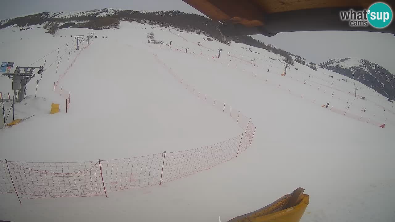 Livigno SKI webcam | Piste da SCI