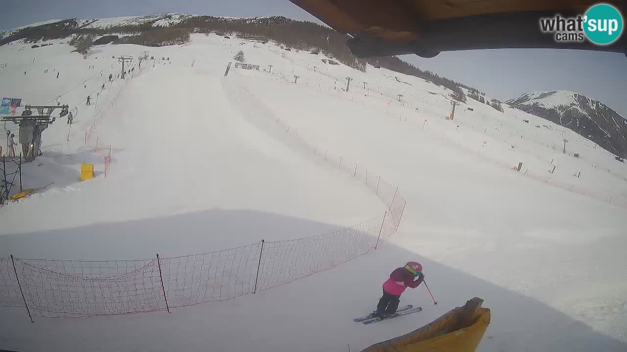 Livigno SKI webcam | Piste da SCI