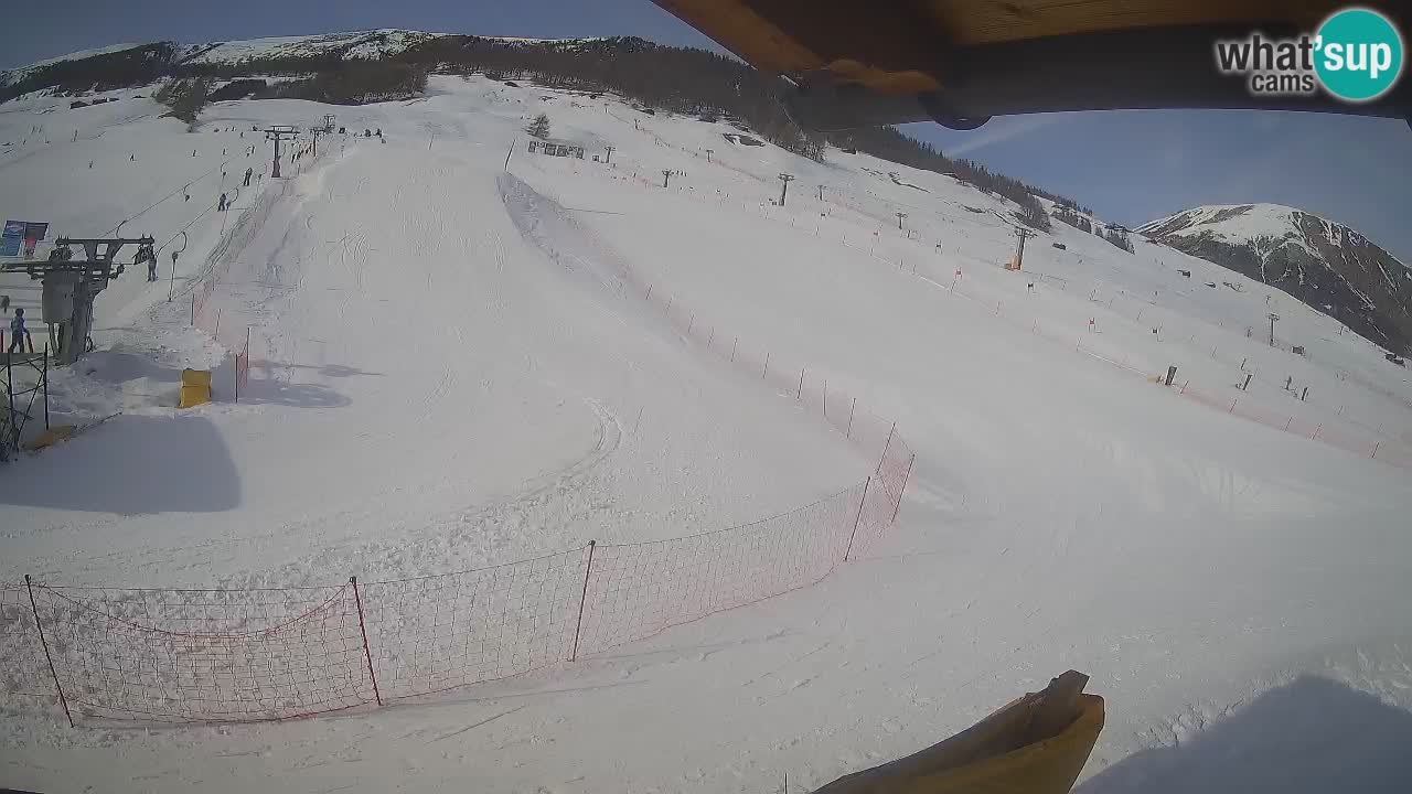 Livigno SKI webcam | Piste da SCI