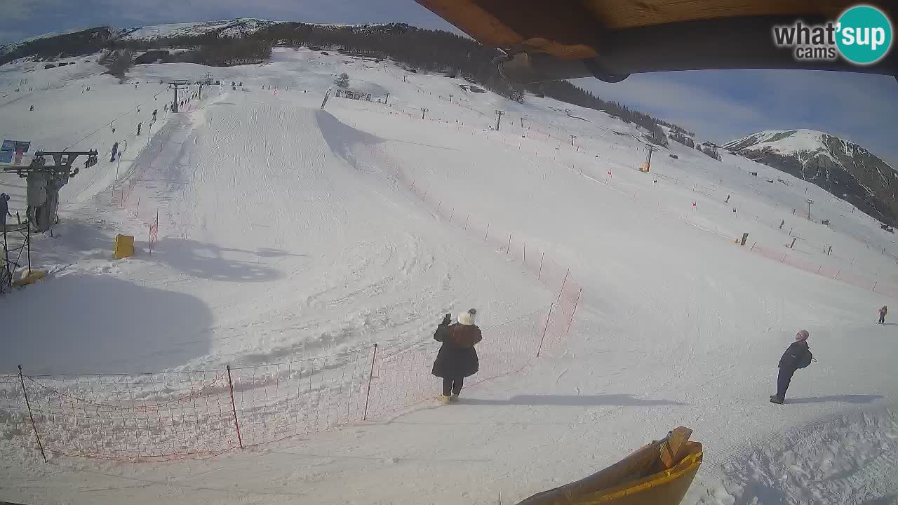 Livigno SKI webcam | Piste da SCI