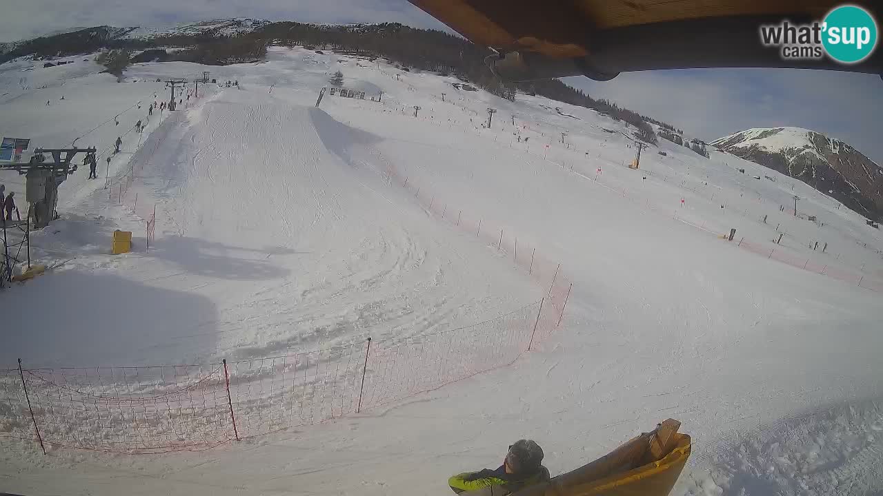 Livigno SKI webcam | Piste da SCI