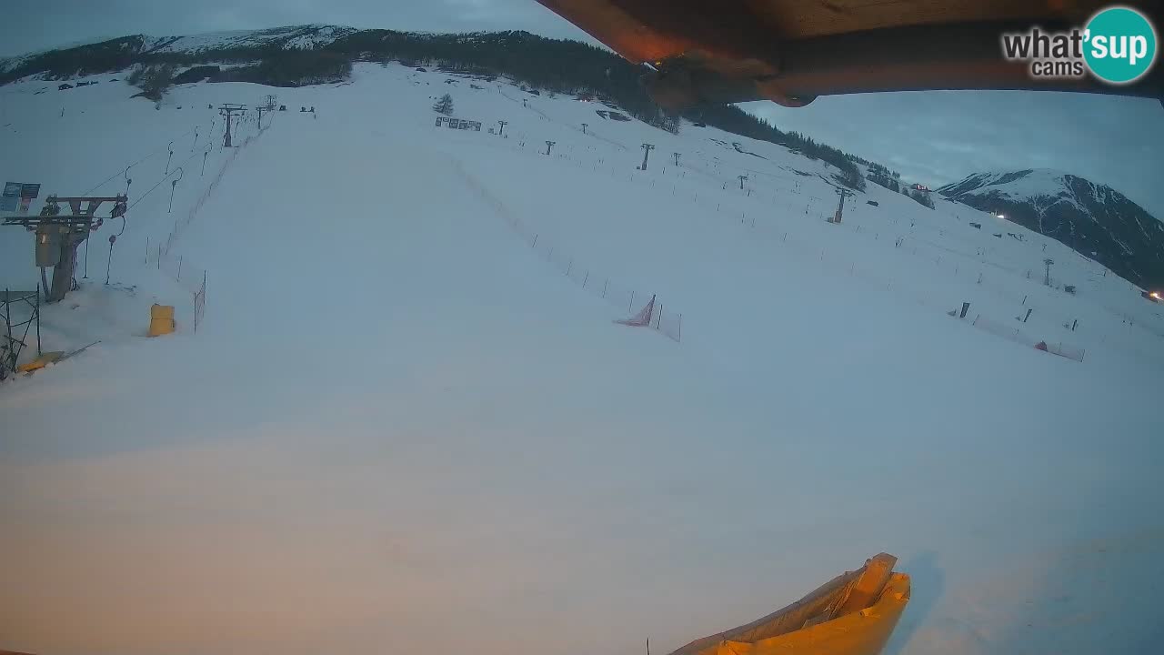 Livigno LIVE cam smučišče | pogled na smučarske proge