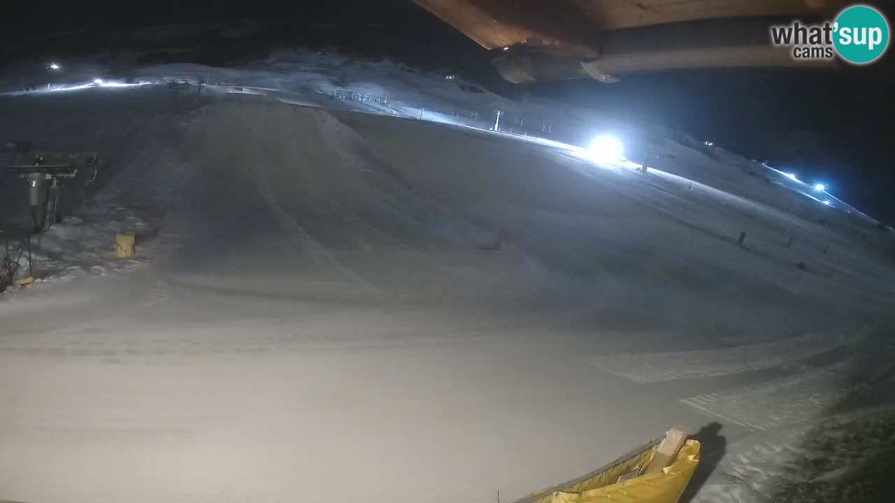 Livigno SKI webcam | Piste da SCI