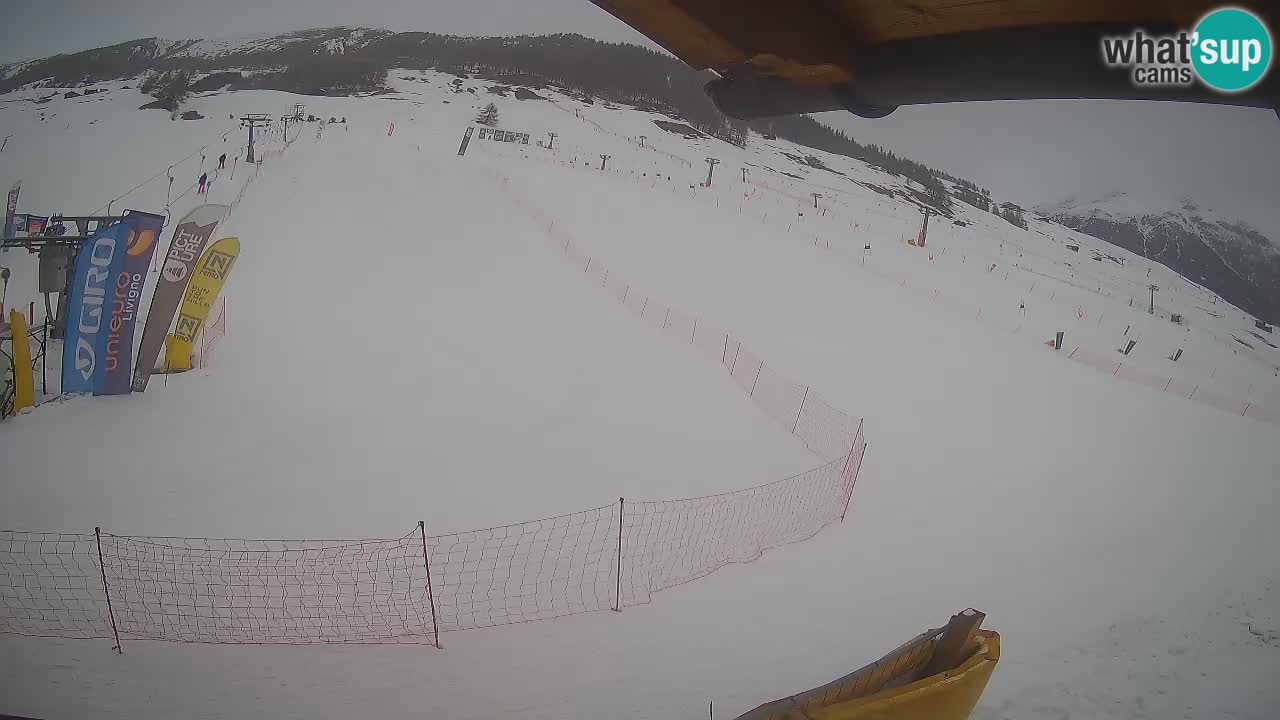 Livigno webcam – view on Livigno Ski School area – LivignoGO