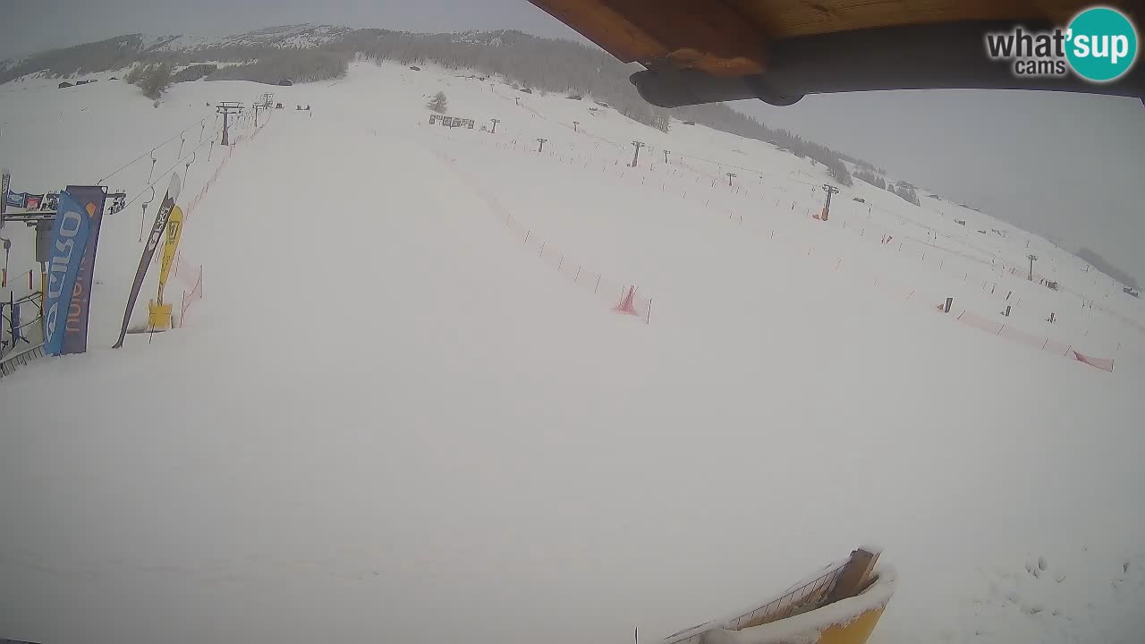 Livigno live webcam – view on Livigno Ski School area – LivignoGO