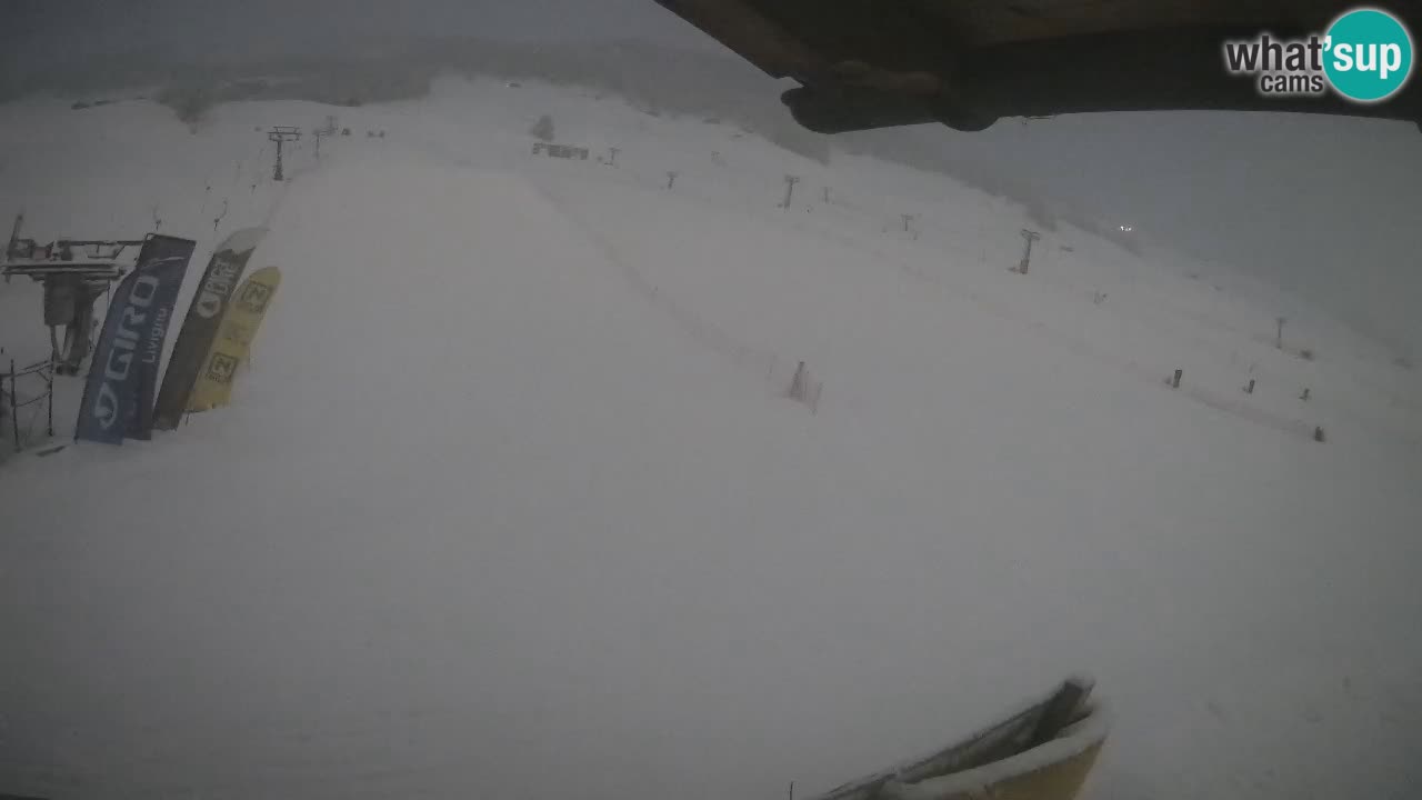 Livigno LIVE cam smučišče | pogled na smučarske proge