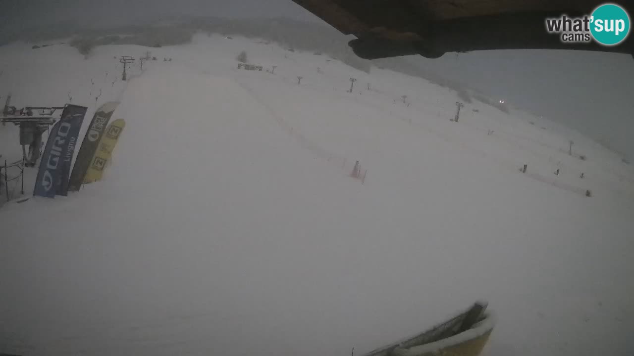 Livigno LIVE cam smučišče | pogled na smučarske proge