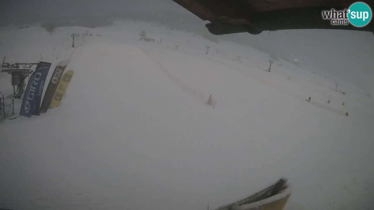 LIVIGNO Skigebiet webcam | Skipisten