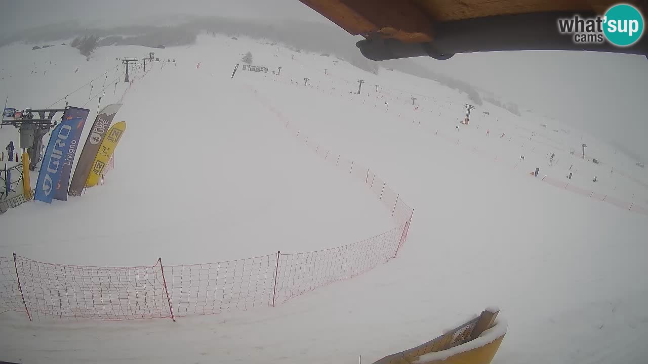 Livigno live webcam – view on Livigno Ski School area – LivignoGO