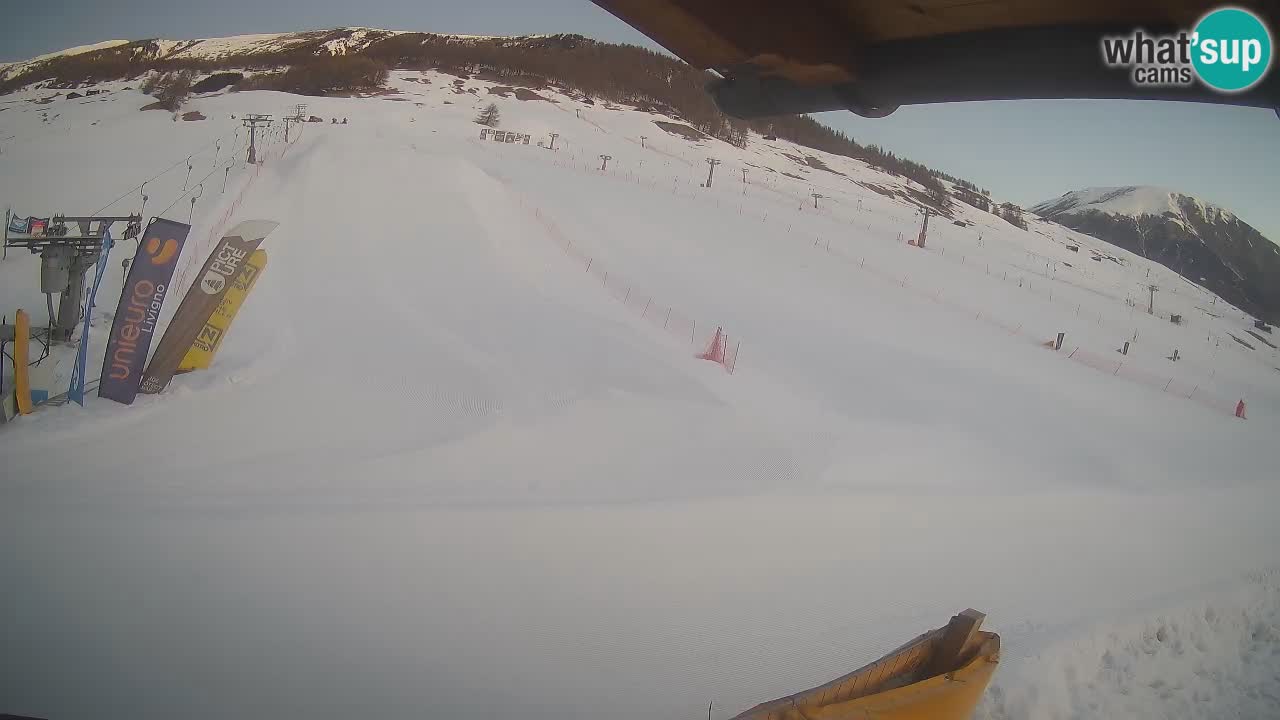 Livigno SKI webcam | Piste da SCI