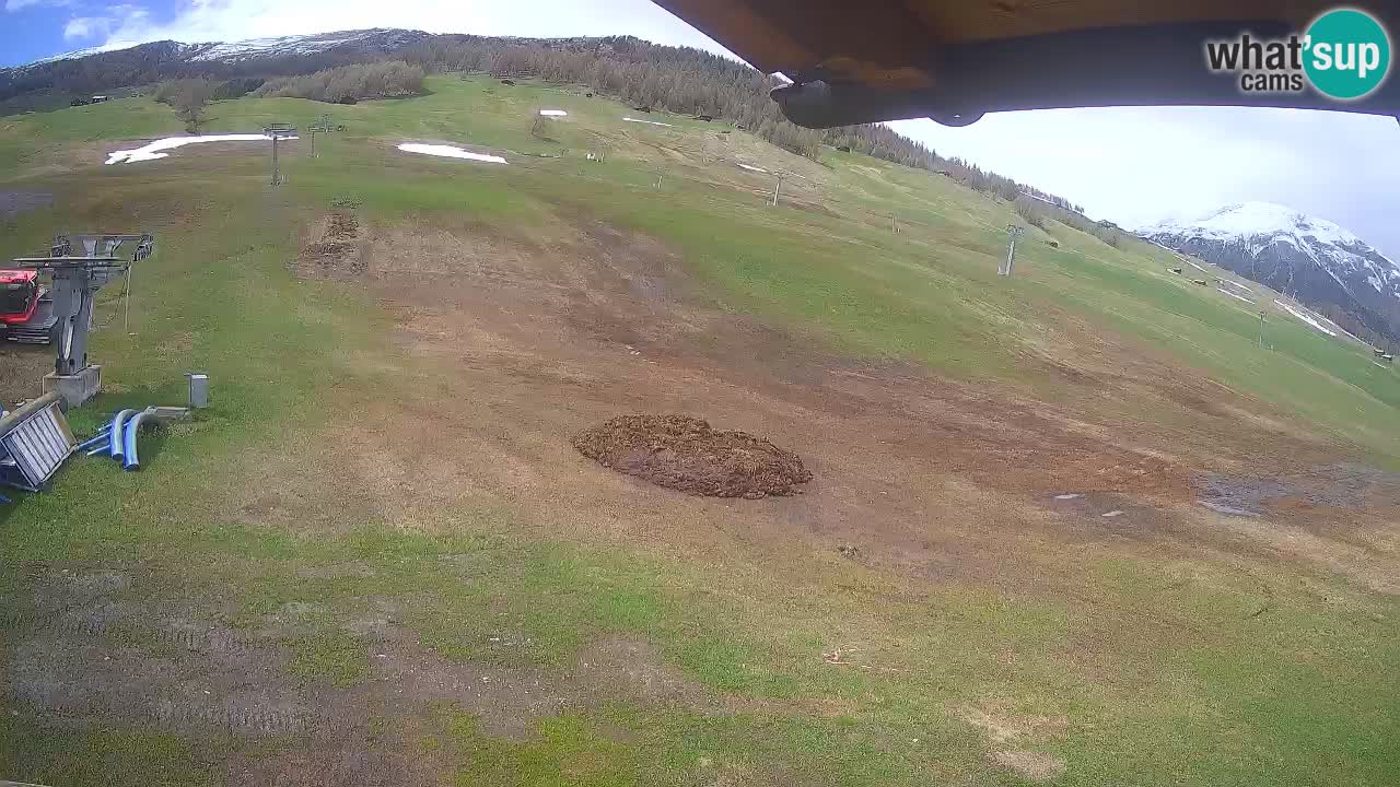 Livigno webcam – view on Livigno Ski School area – LivignoGO