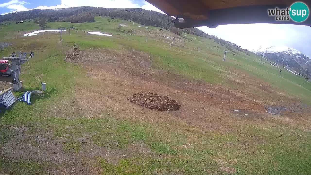 Livigno live webcam – view on Livigno Ski School area – LivignoGO