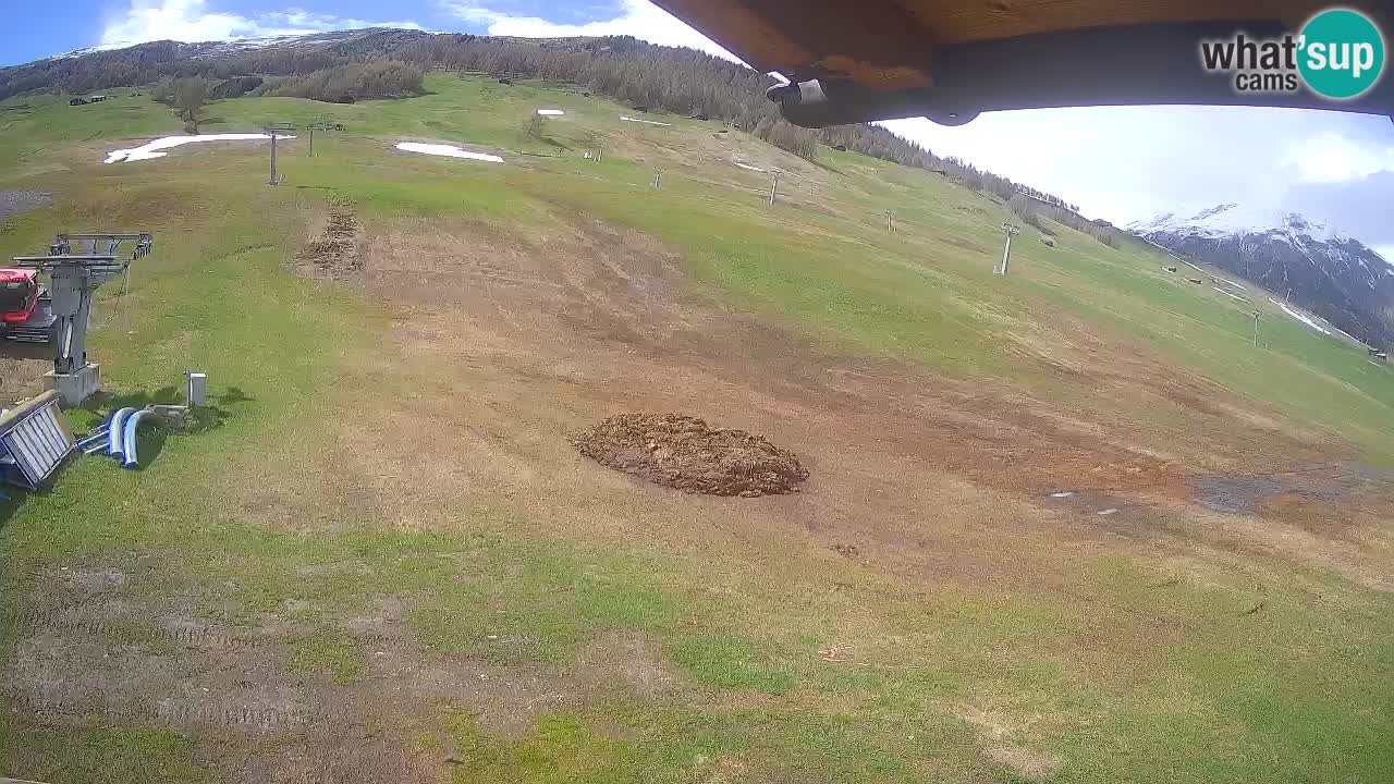 Livigno webcam – view on Livigno Ski School area – LivignoGO