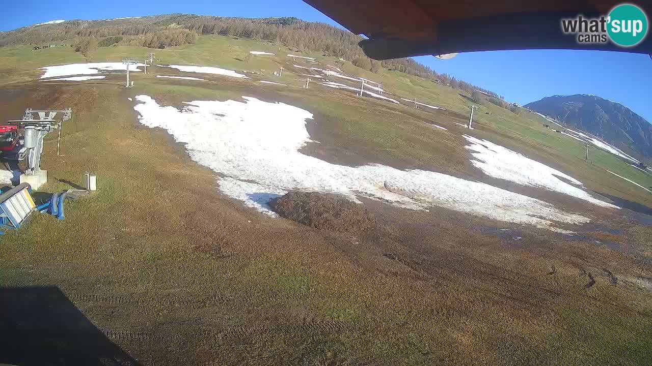 Livigno SKI webcam | Piste da SCI