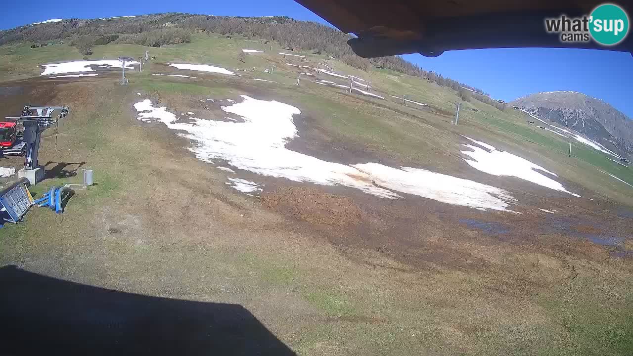 Livigno SKI webcam | Piste da SCI