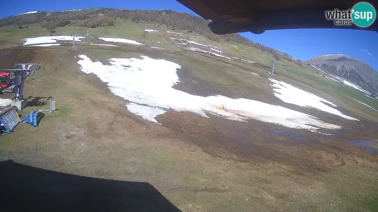 Livigno webcam – view on Livigno Ski School area – LivignoGO
