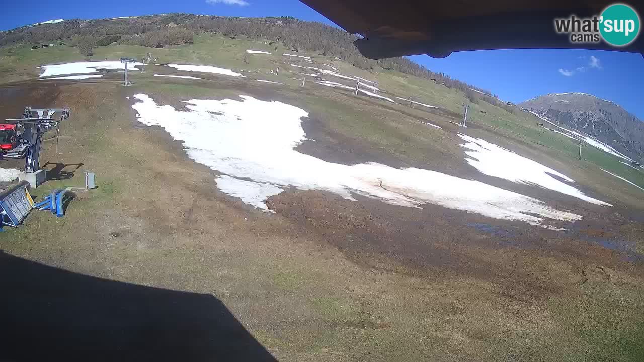 Livigno SKI webcam | Piste da SCI